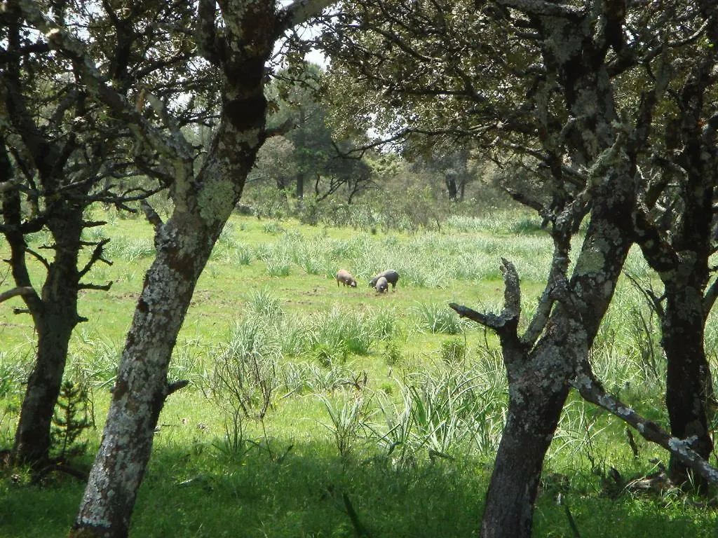 Penzion San Jose Andújar
