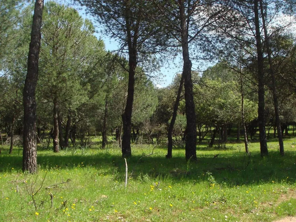 San Jose Guest House Andujar 0*,  Spain